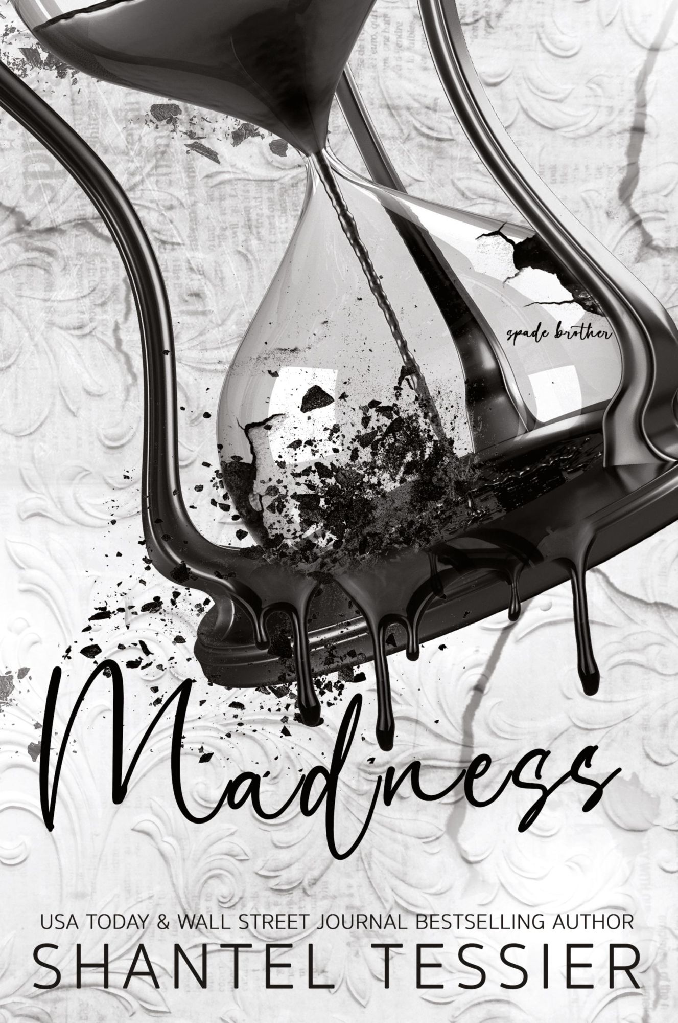 Cover: 9798991438018 | Madness | Shantel Tessier | Taschenbuch | Englisch | 2024
