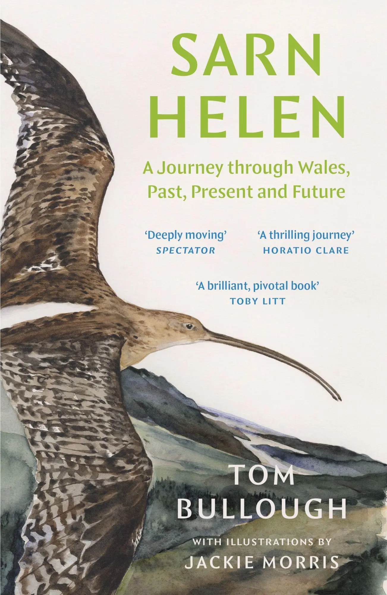 Cover: 9781783788118 | Sarn Helen | A Journey Through Wales, Past, Present and Future | Buch