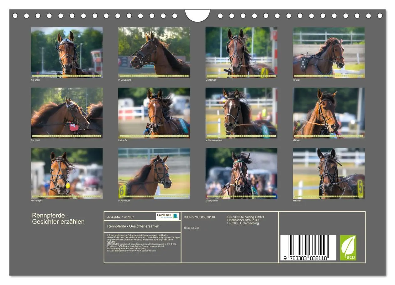 Bild: 9783383838118 | Rennpferde - Gesichter erzählen (Wandkalender 2025 DIN A4 quer),...