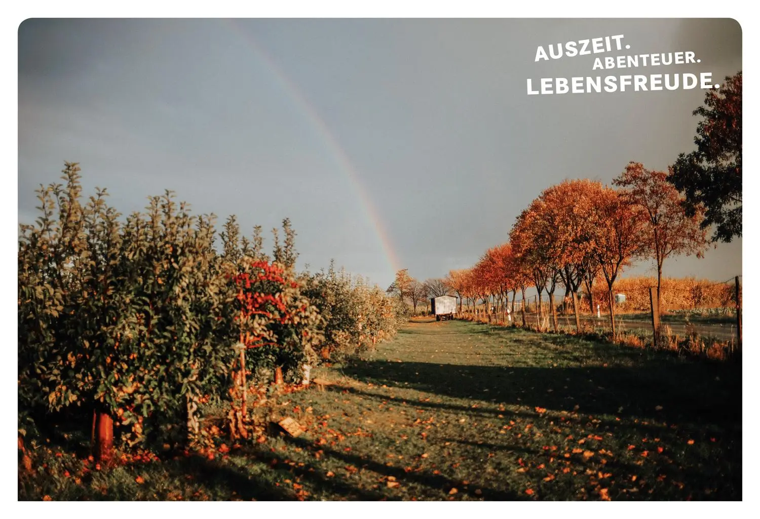 Bild: 9783616028118 | 52 kleine &amp; große Eskapaden in Deutschland - Mit Genuss | Taschenbuch