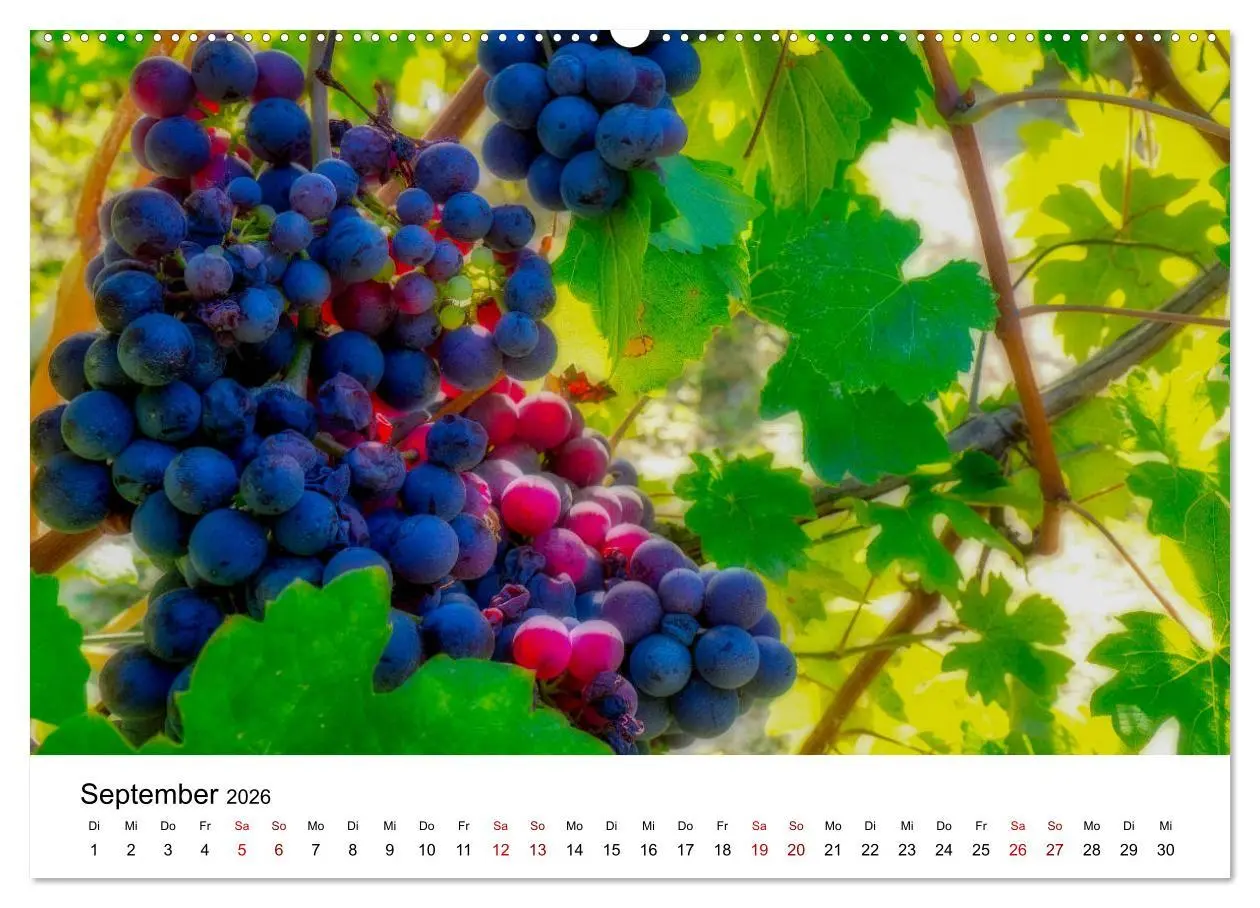Bild: 9783457938218 | Piemont und Turin (Wandkalender 2026 DIN A2 quer), CALVENDO...