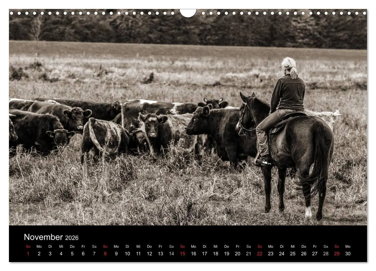 Bild: 9783516028218 | Westernreiten (Wandkalender 2026 DIN A3 quer), CALVENDO Monatskalender