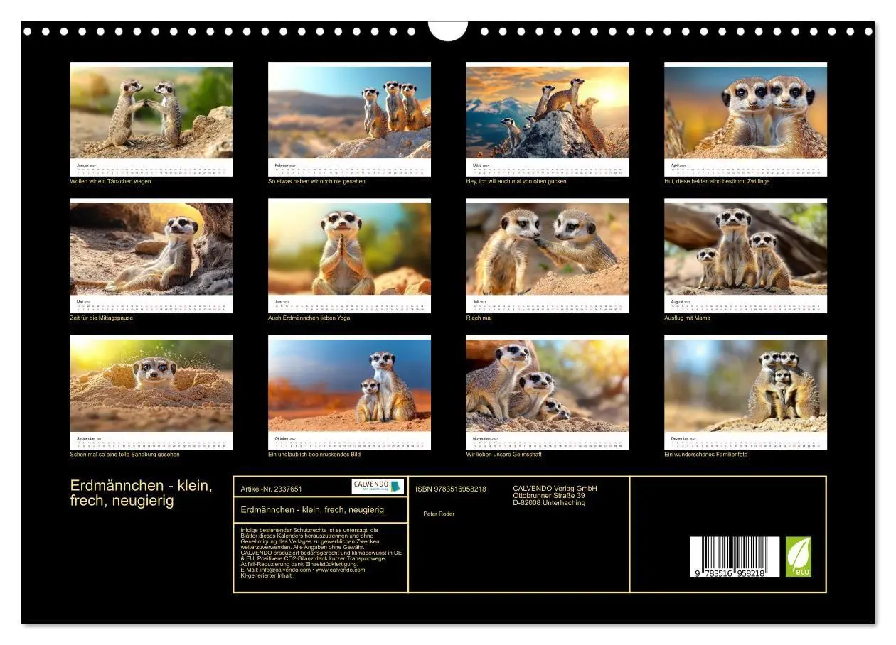 Bild: 9783516958218 | Erdmännchen - klein, frech, neugierig (Wandkalender 2027 DIN A3...