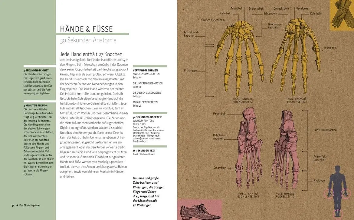 Bild: 9789089988218 | Anatomie in 30 Sekunden | Gabrielle M. Finn | Buch | 160 S. | Deutsch