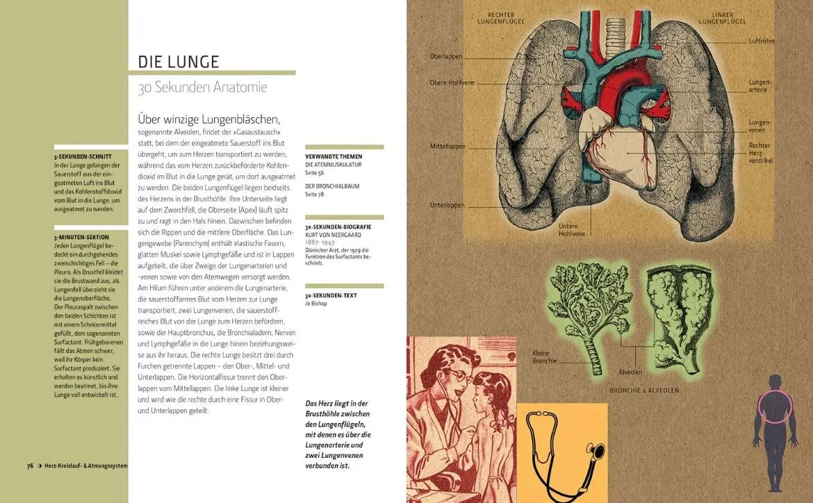 Bild: 9789089988218 | Anatomie in 30 Sekunden | Gabrielle M. Finn | Buch | 160 S. | Deutsch
