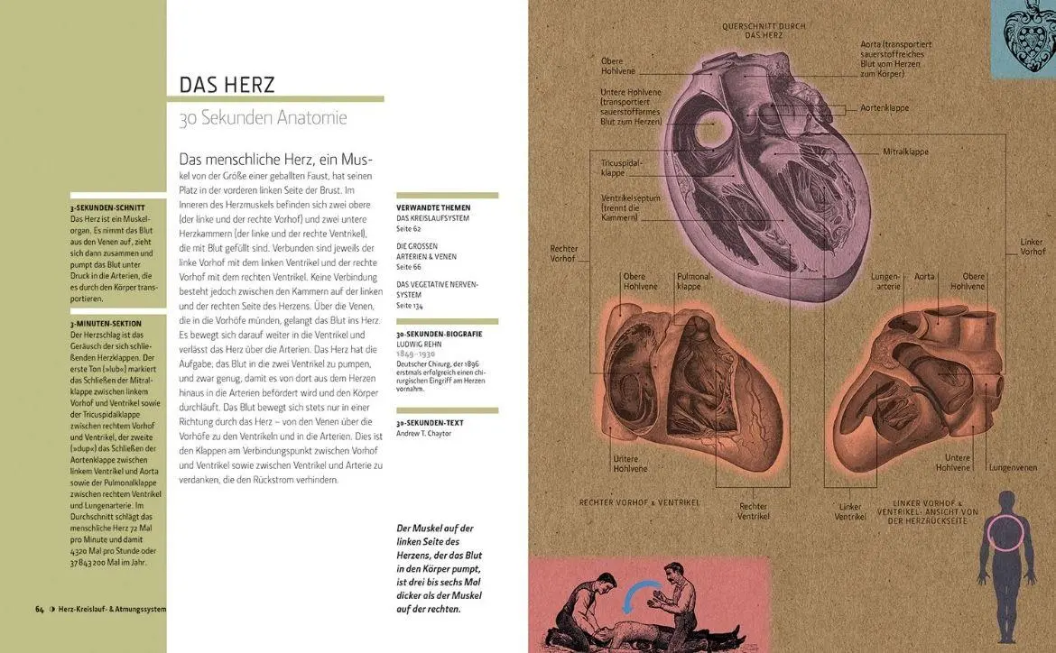Bild: 9789089988218 | Anatomie in 30 Sekunden | Gabrielle M. Finn | Buch | 160 S. | Deutsch