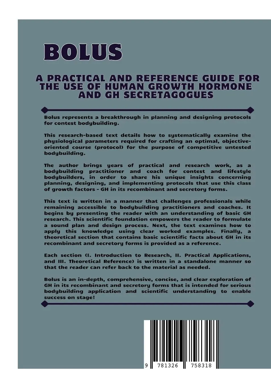 Rückseite: 9781326758318 | Bolus | Cormac Mannion | Taschenbuch | Englisch | 2024 | Lulu.com