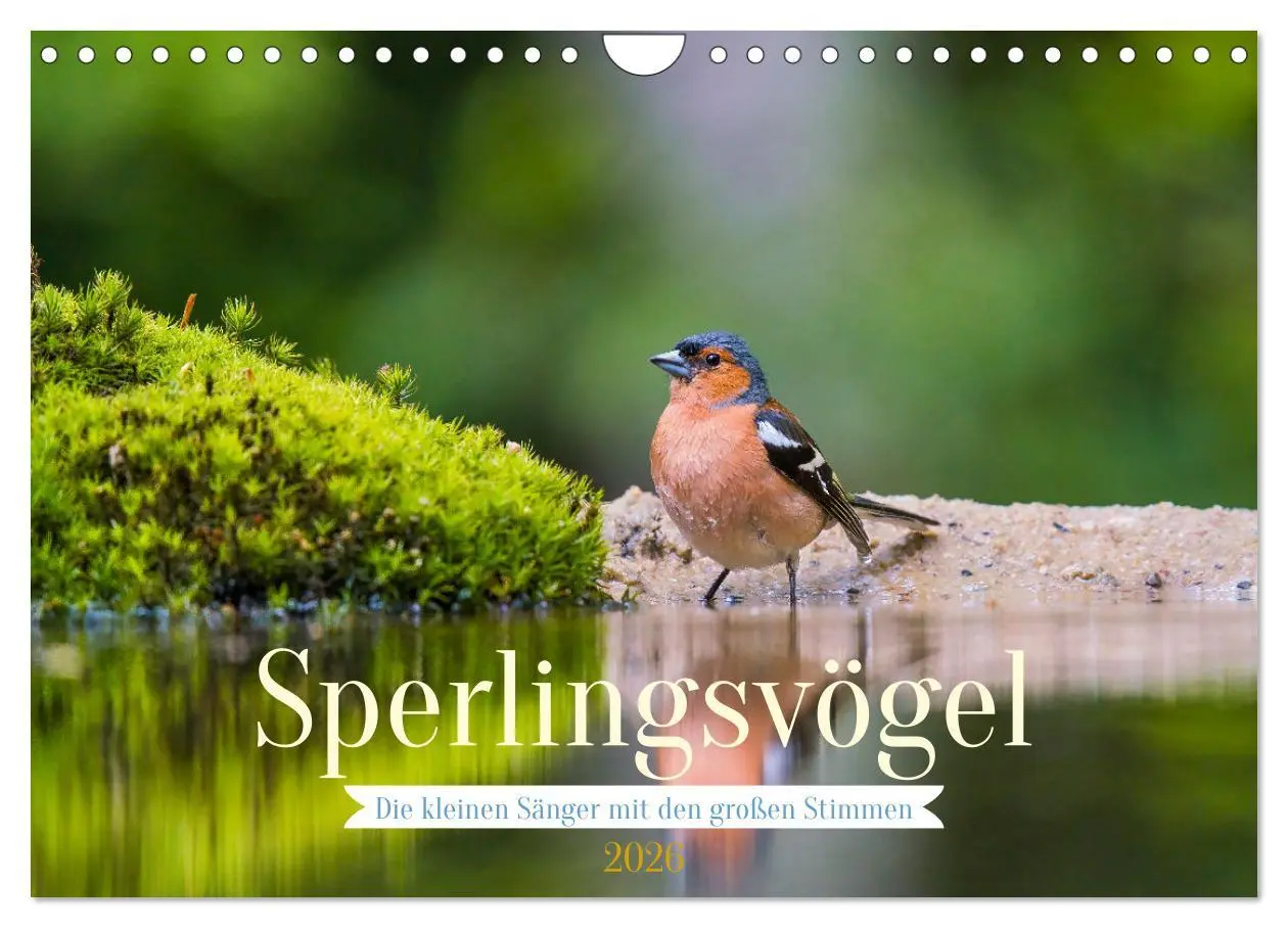 Cover: 9783457548318 | Sperlingsvögel - Die kleinen Sänger mit den großen Stimmen...