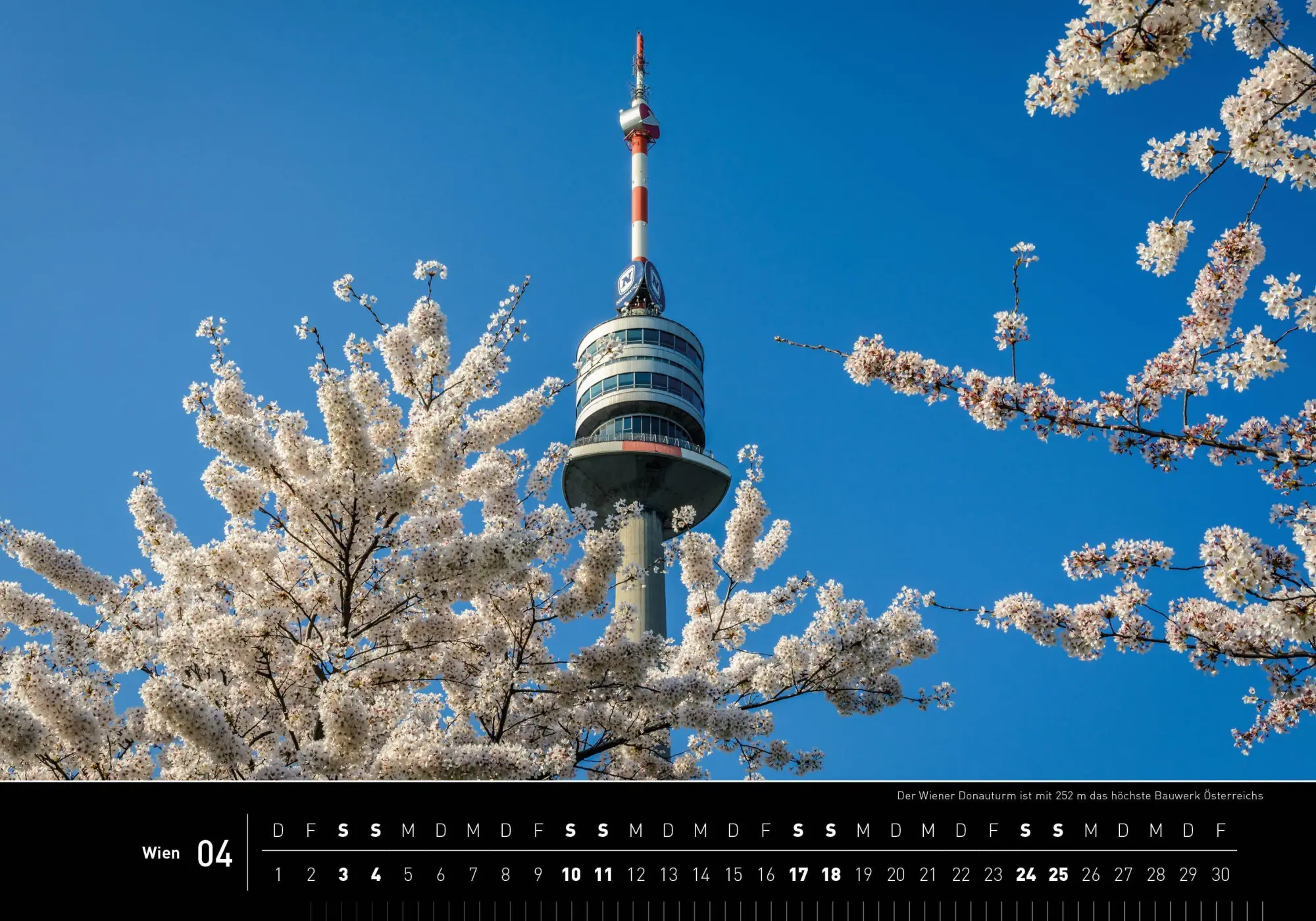 Bild: 9783968558318 | Wien Premiumkalender 2027 | Maria-Lisa Stelzel | Kalender | 14 S.