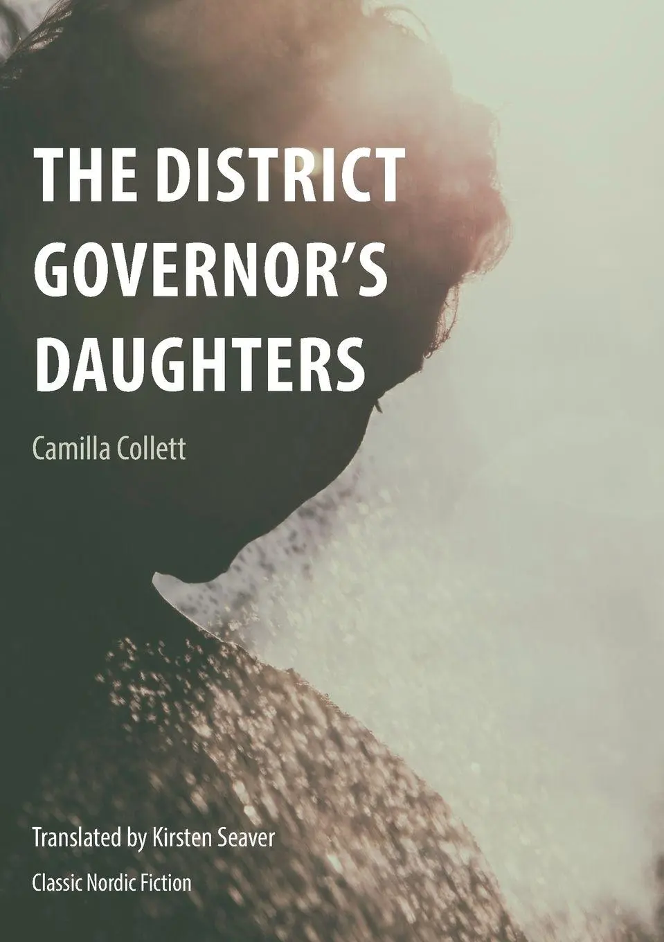 Cover: 9781909408418 | District Governor's Daughters | Collett Camilla | Taschenbuch | 2017