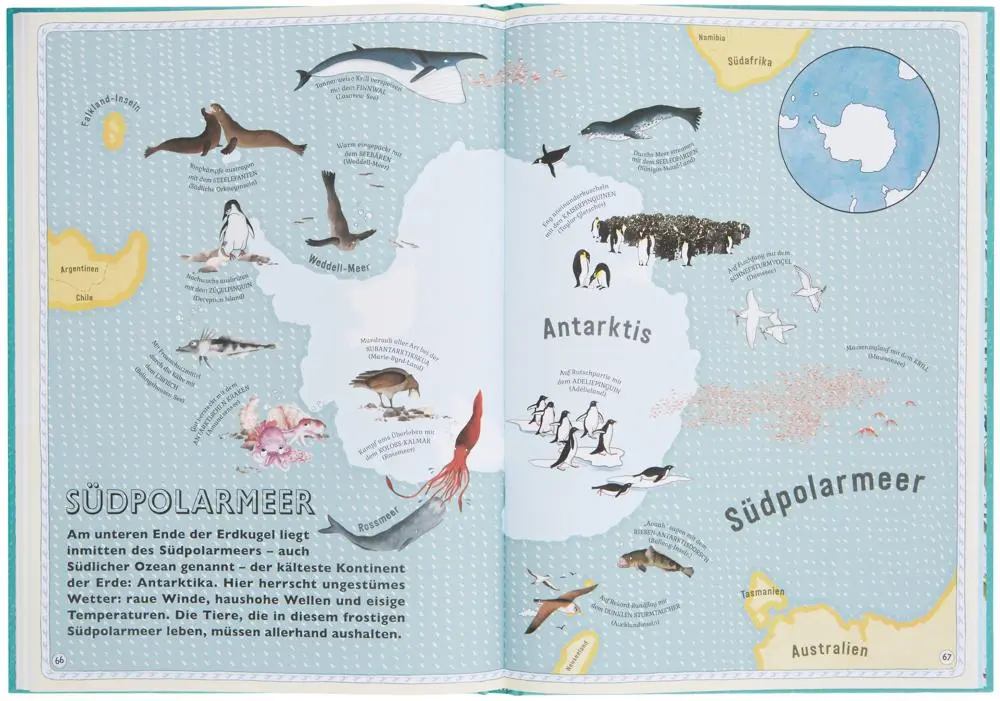 Bild: 9783899558418 | Der Atlas der Ozeane | Emily Hawkins | Buch | 96 S. | Deutsch | 2020