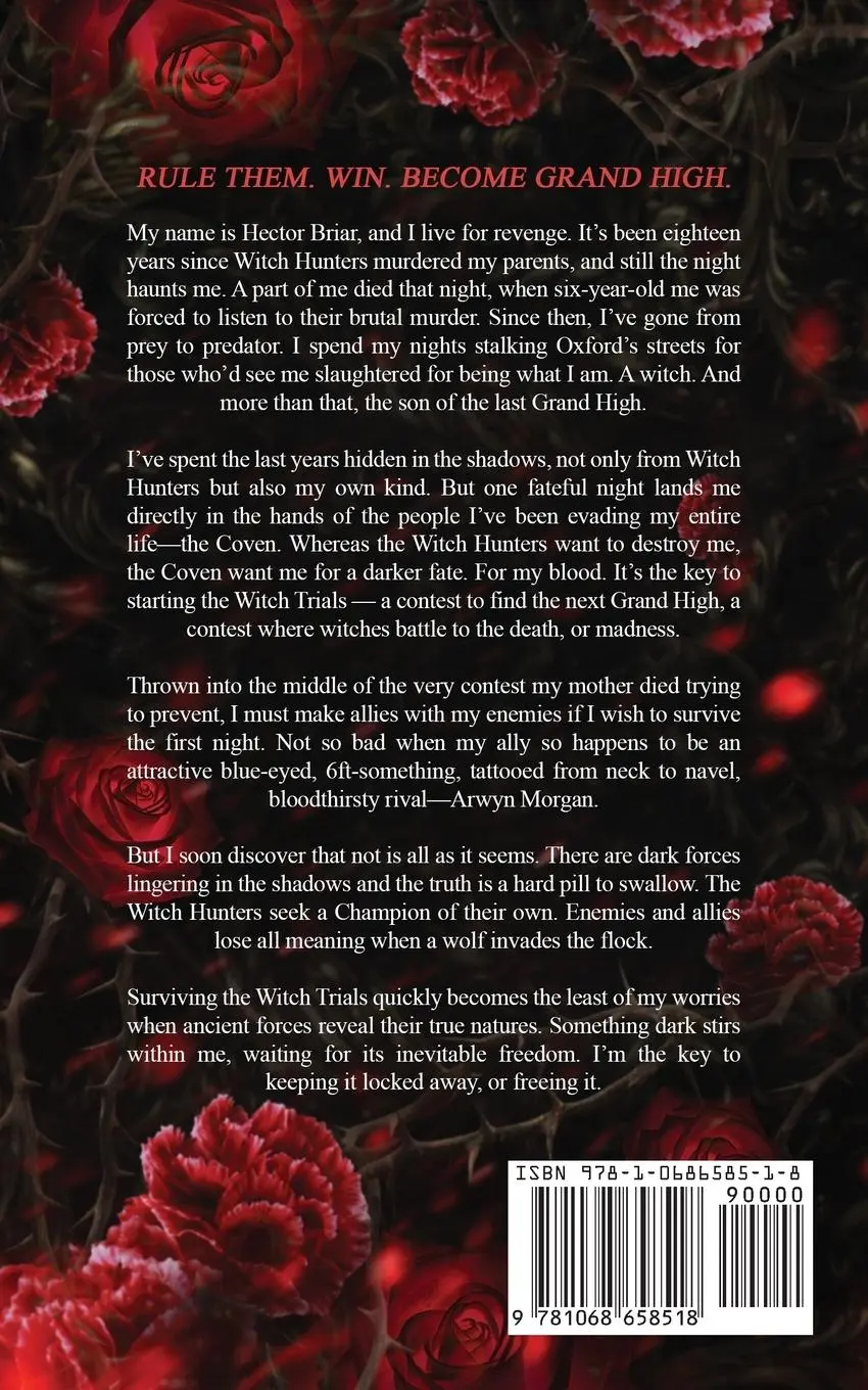 Rückseite: 9781068658518 | The Witch and His Crow | Ben Alderson | Taschenbuch | Englisch | 2025