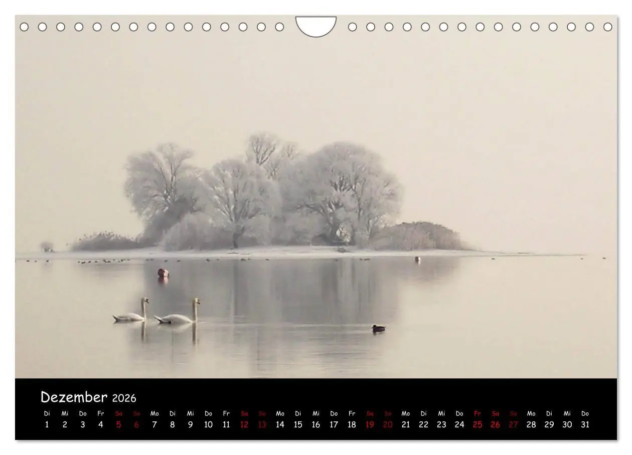 Bild: 9783457908518 | Traumhaft schöner Bodensee (Wandkalender 2026 DIN A4 quer),...