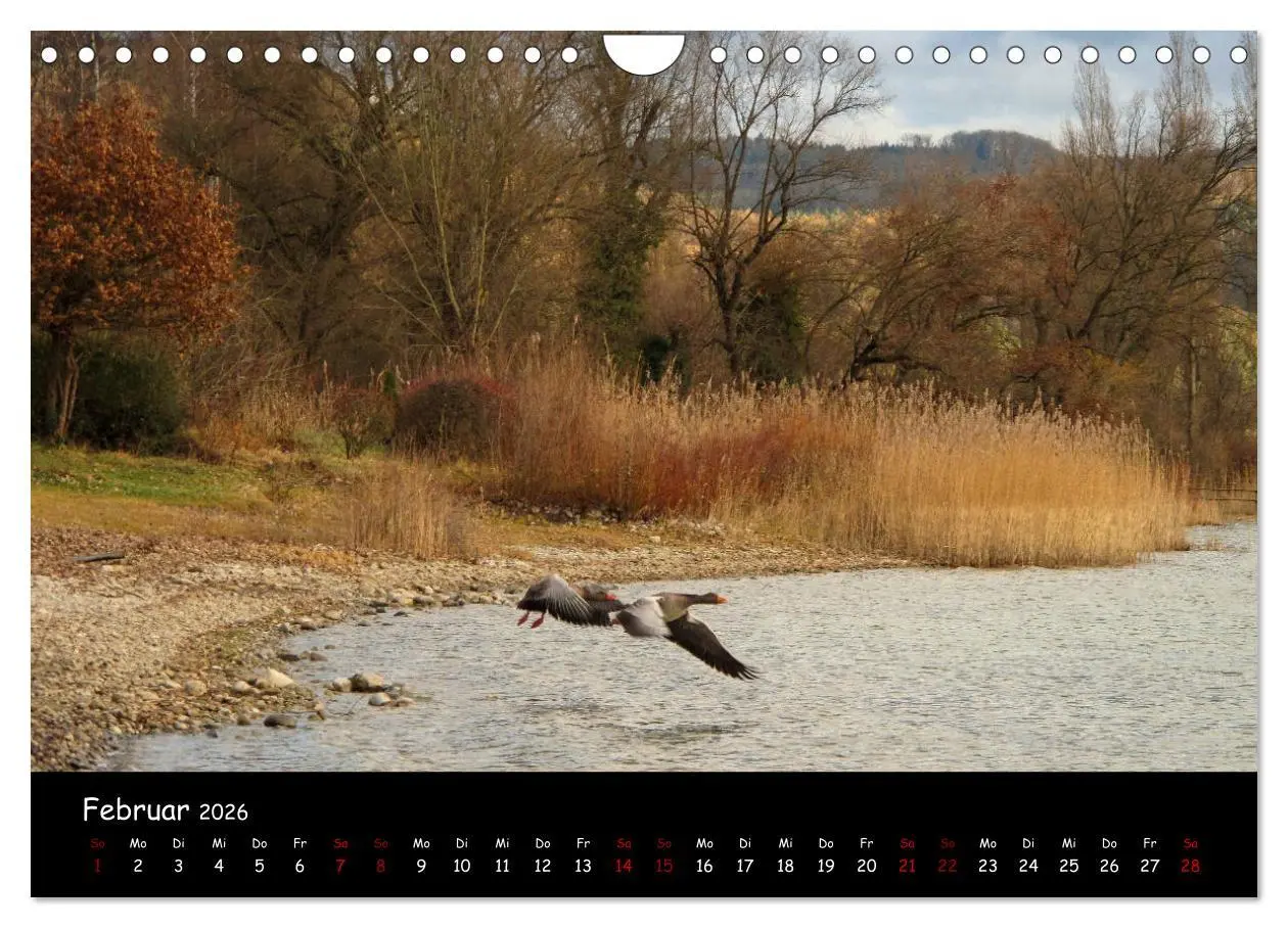 Bild: 9783457908518 | Traumhaft schöner Bodensee (Wandkalender 2026 DIN A4 quer),...