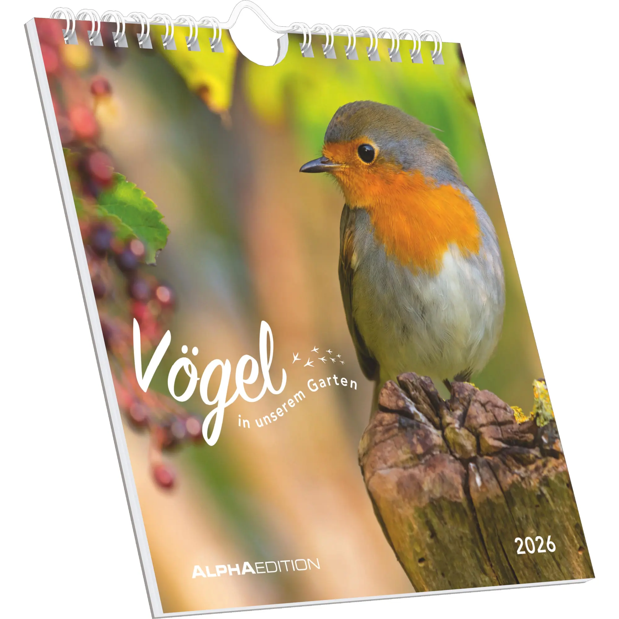 Cover: 4069095008618 | Vögel in unserem Garten 2026 - Postkartenkalender 16x17 cm | Kalender