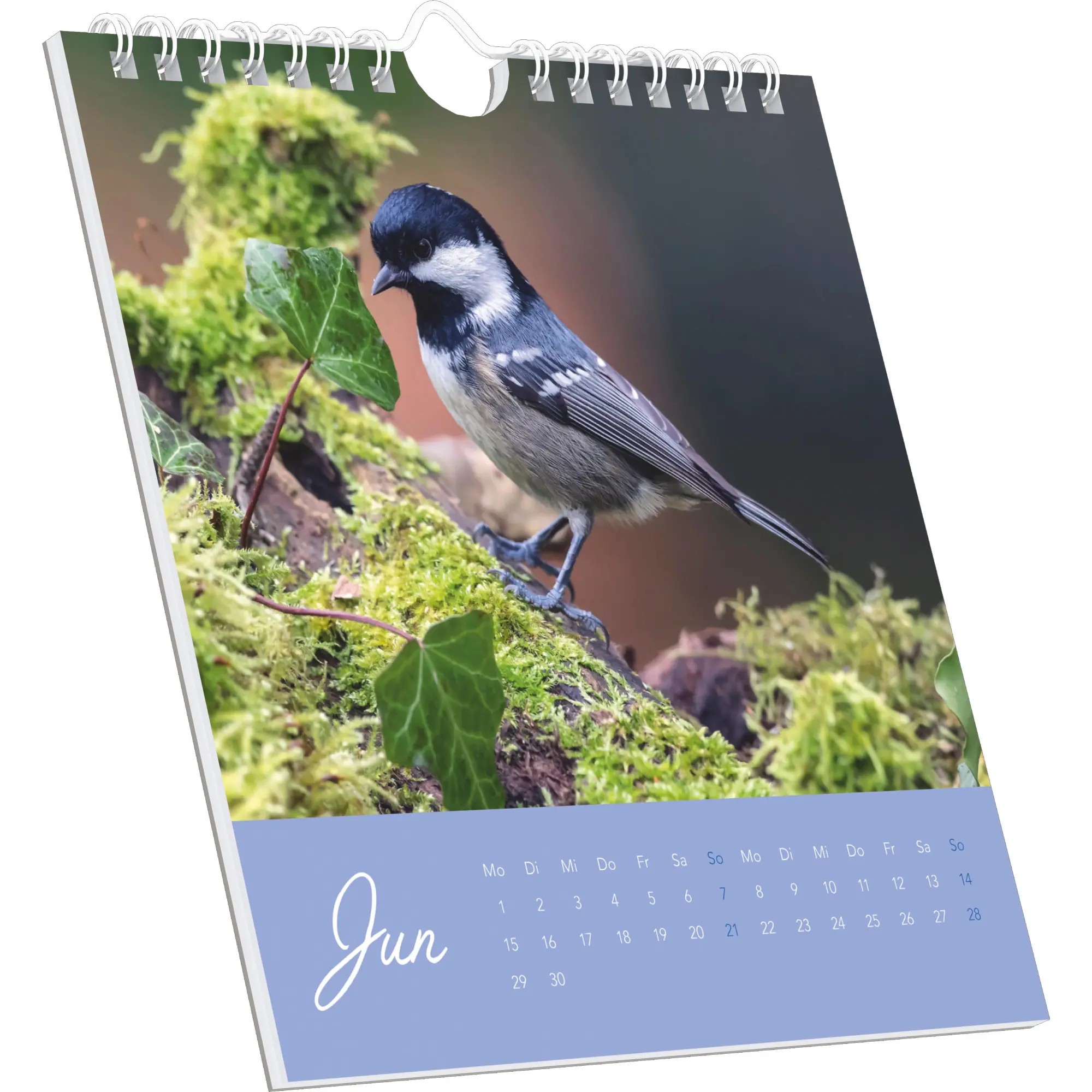 Bild: 4069095008618 | Vögel in unserem Garten 2026 - Postkartenkalender 16x17 cm | Kalender