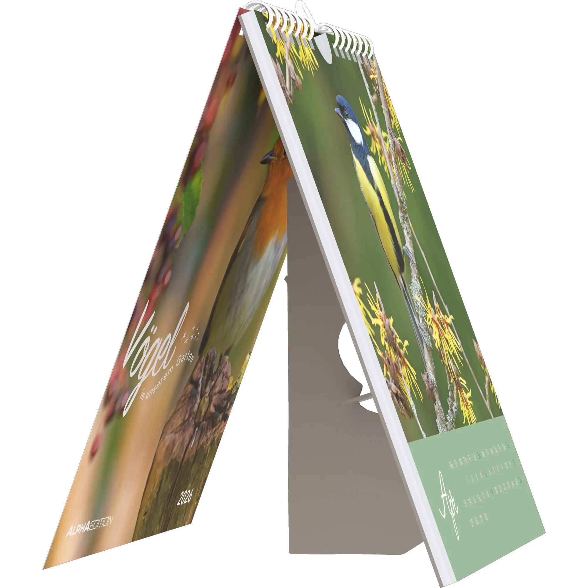 Bild: 4069095008618 | Vögel in unserem Garten 2026 - Postkartenkalender 16x17 cm | Kalender