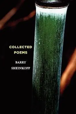 Cover: 9781607438618 | Collected Poems | Barry Sheinkopf | Taschenbuch | Englisch | 2009