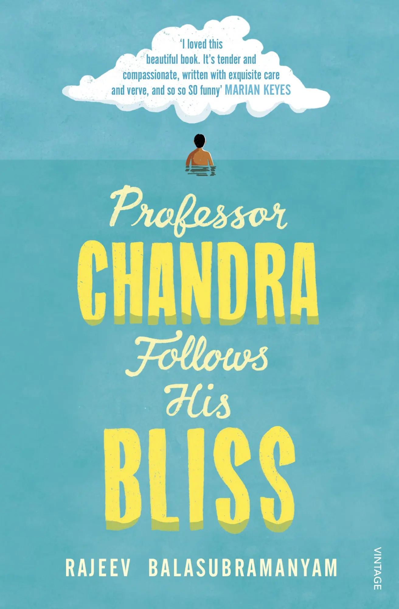 Cover: 9781784708818 | Professor Chandra Follows His Bliss | Rajeev Balasubramanyam | Buch