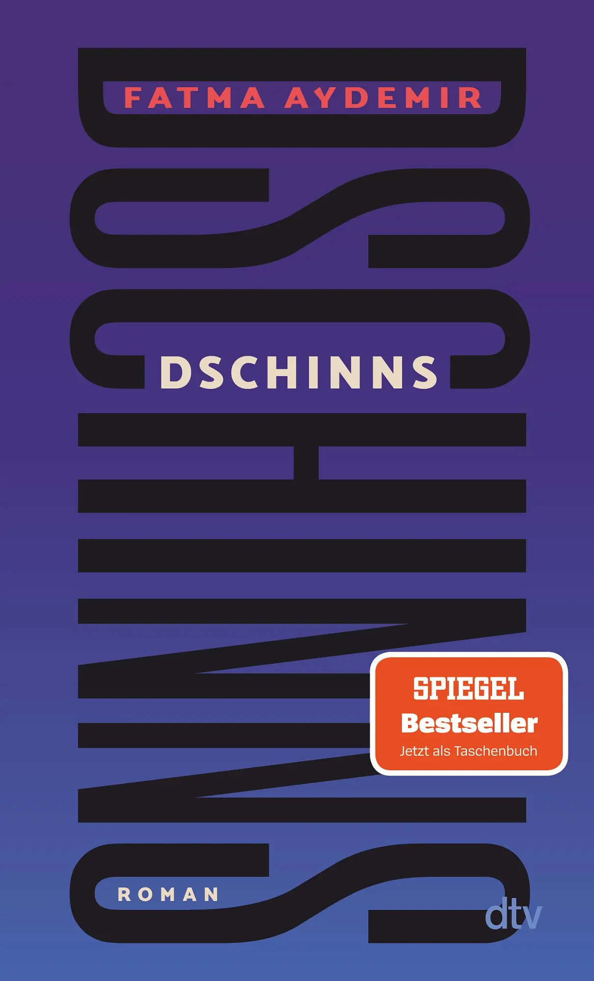 Cover: 9783423148818 | Dschinns | Roman 'Eine Augen öffnende Lektüre.' Denis Scheck | Aydemir