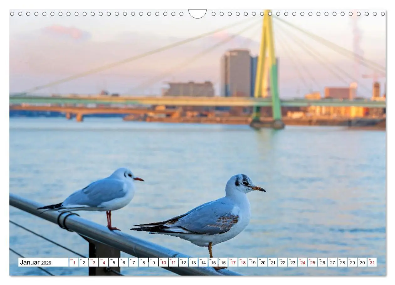 Bild: 9783457288818 | Köln - Facetten einer Stadt (Wandkalender 2026 DIN A3 quer),...