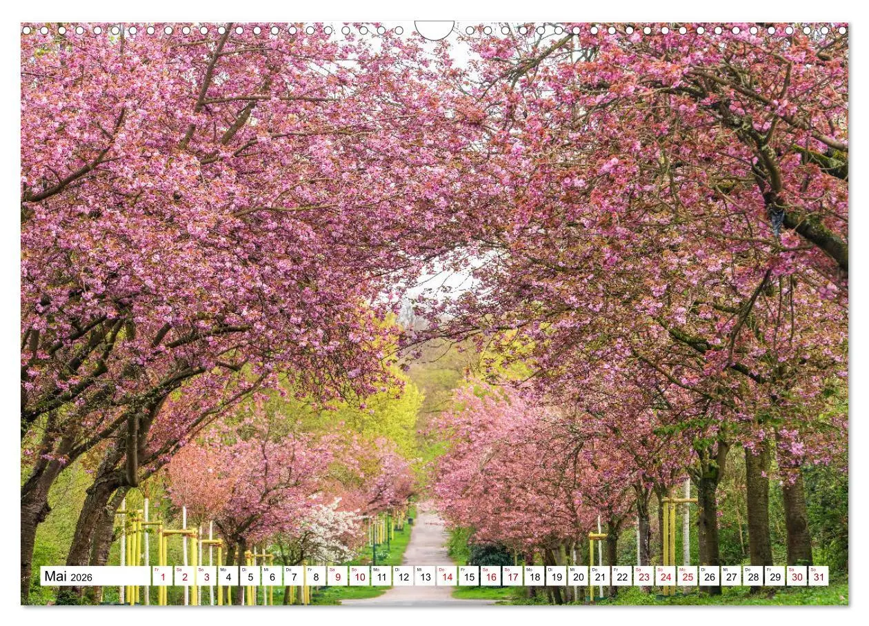 Bild: 9783457288818 | Köln - Facetten einer Stadt (Wandkalender 2026 DIN A3 quer),...