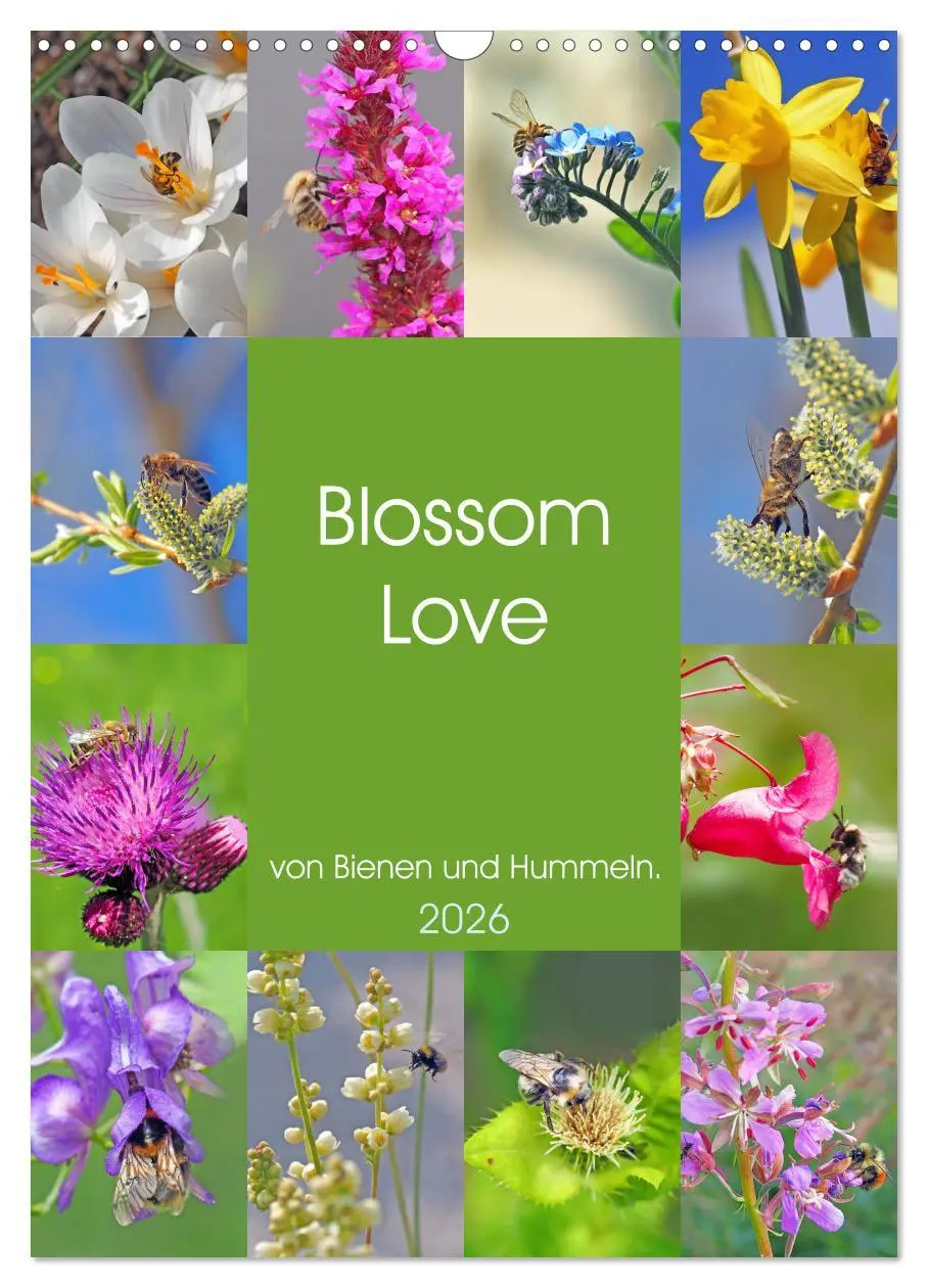 Cover: 9783516378818 | Blossom Love, von Bienen und Hummeln (Wandkalender 2026 DIN A3...