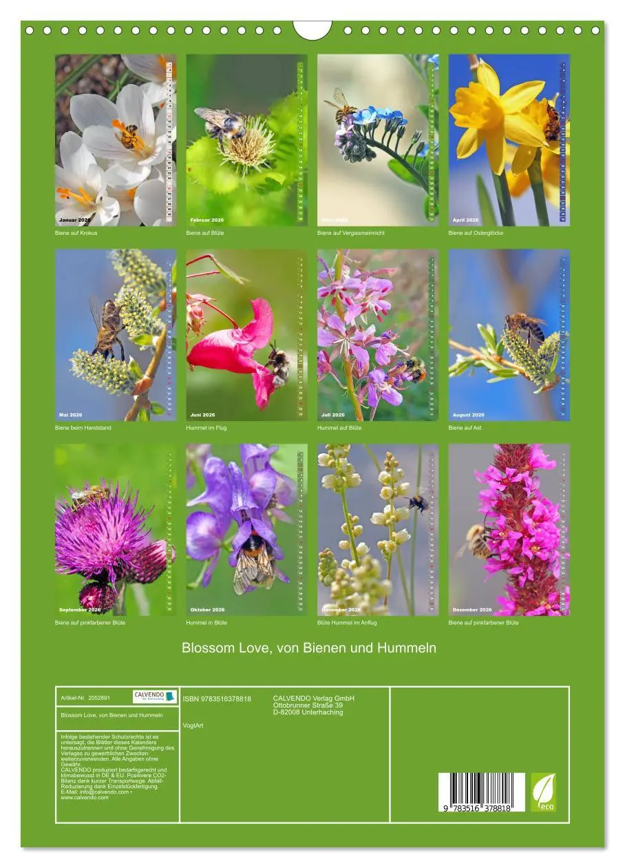 Bild: 9783516378818 | Blossom Love, von Bienen und Hummeln (Wandkalender 2026 DIN A3...