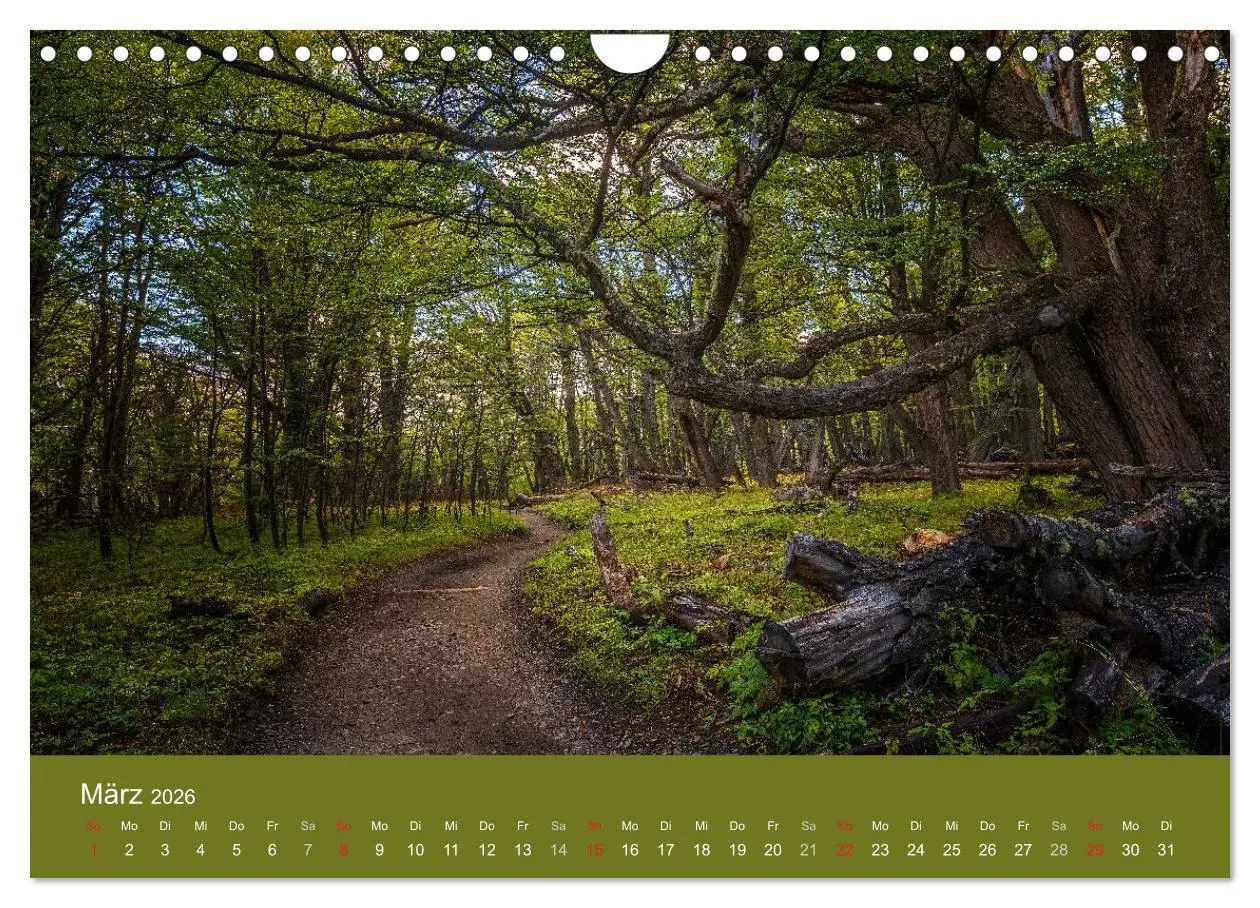 Bild: 9783516058918 | Farbenfrohes Patagonien (Wandkalender 2026 DIN A4 quer), CALVENDO...