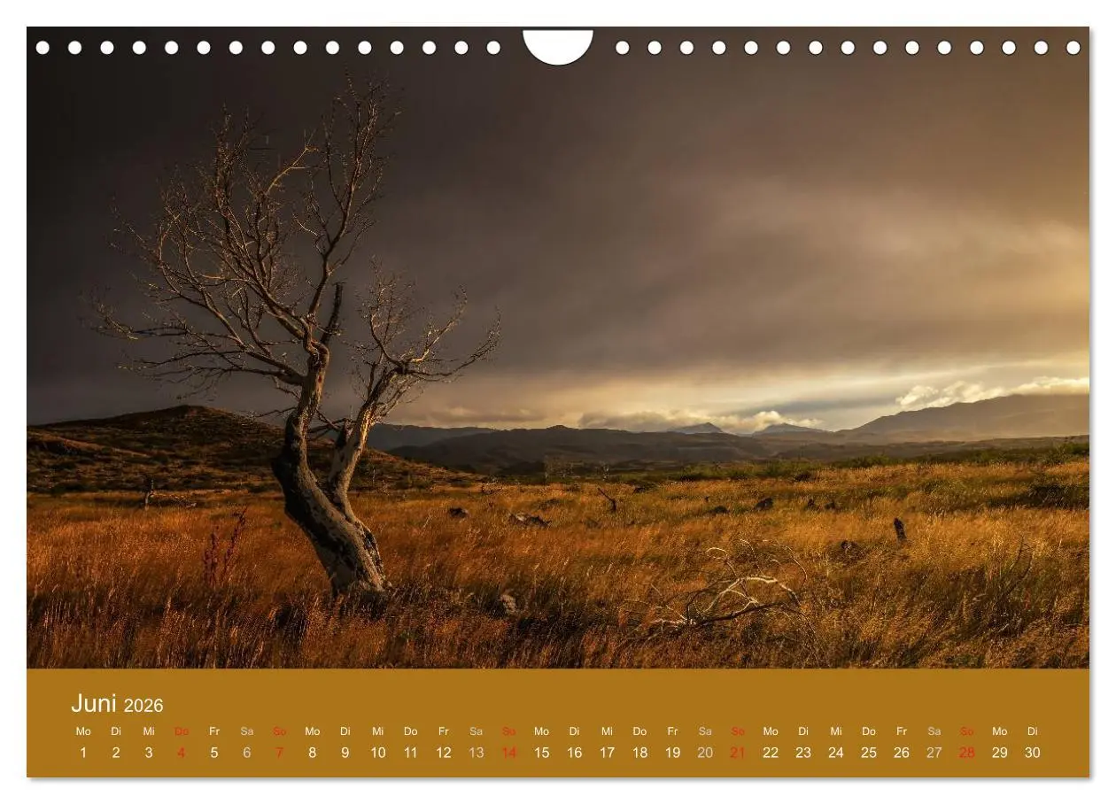 Bild: 9783516058918 | Farbenfrohes Patagonien (Wandkalender 2026 DIN A4 quer), CALVENDO...