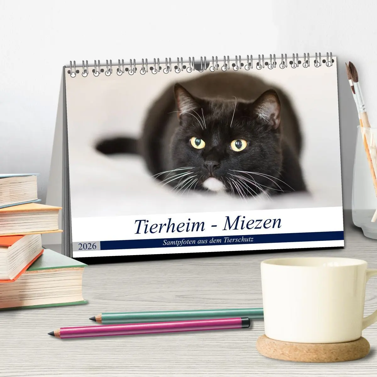 Bild: 9783516019018 | Tierheim - Miezen (Tischkalender 2026 DIN A5 quer), CALVENDO...