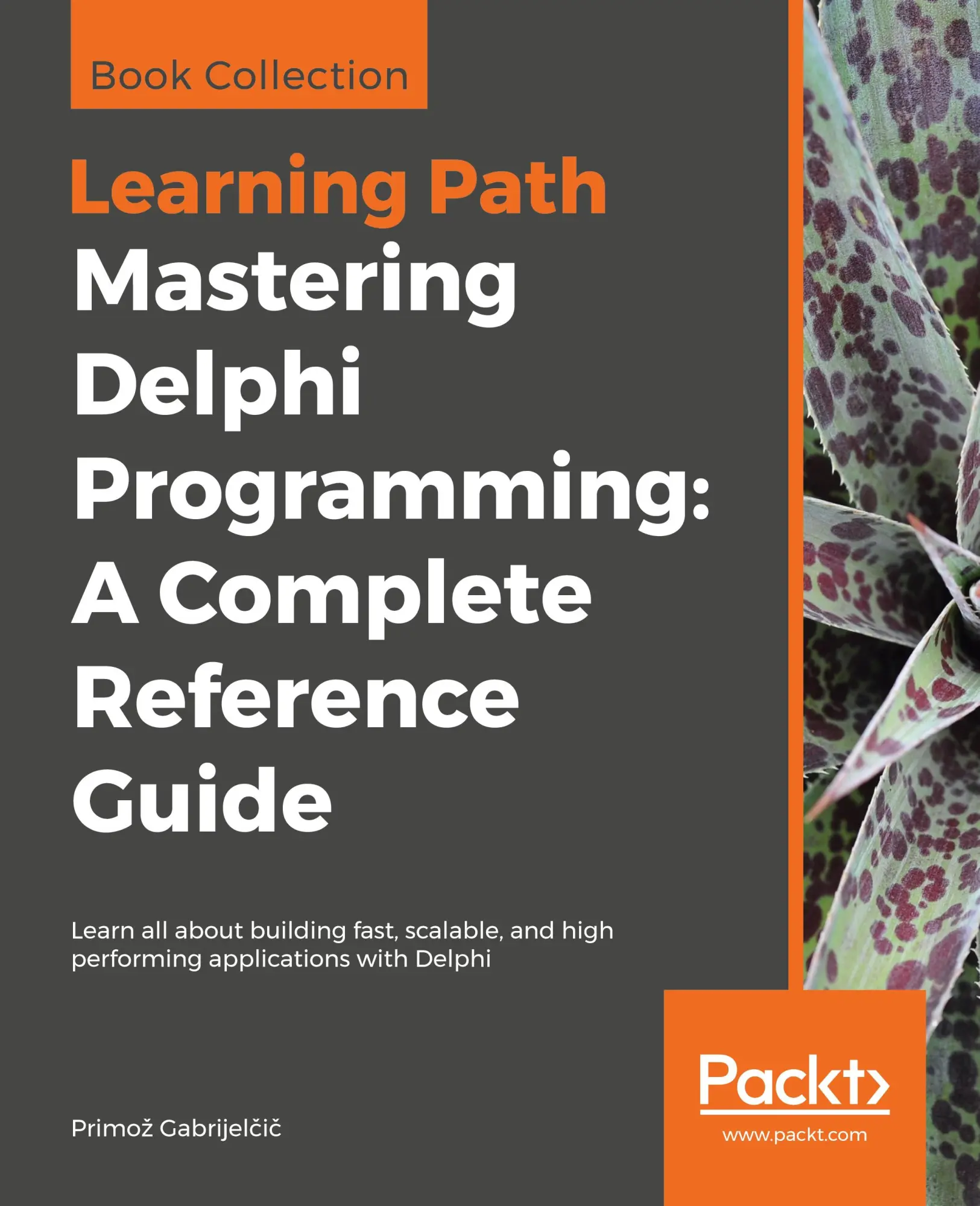 Cover: 9781838989118 | Mastering Delphi Programming | Primo¿ Gabrijel¿i¿ | Taschenbuch | 2019
