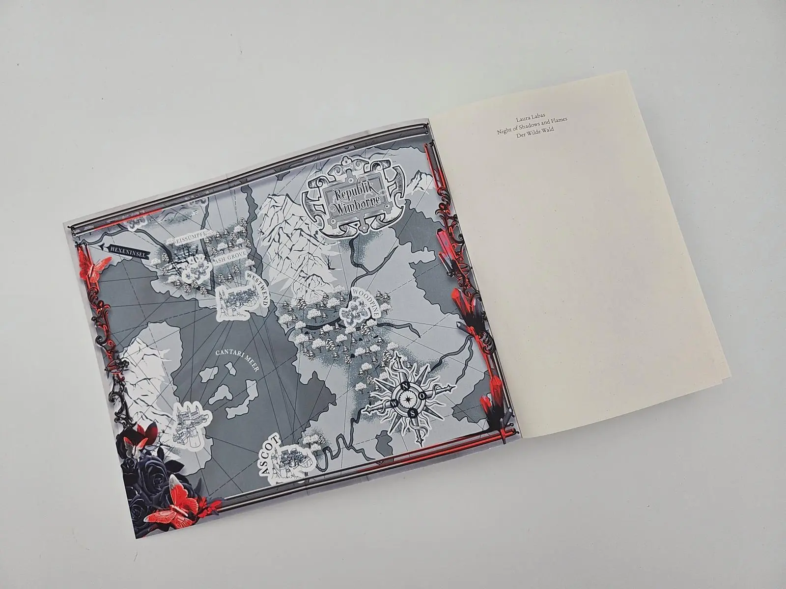 Bild: 9783492709118 | Night of Shadows and Flames - Der Wilde Wald | Laura Labas | Buch