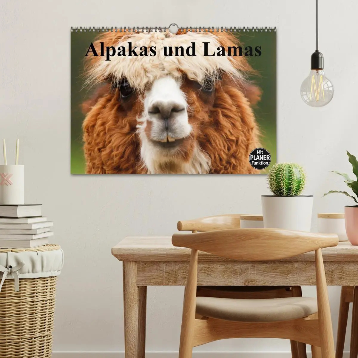 Bild: 9783516009118 | Alpakas und Lamas (Wandkalender 2026 DIN A3 quer), CALVENDO...