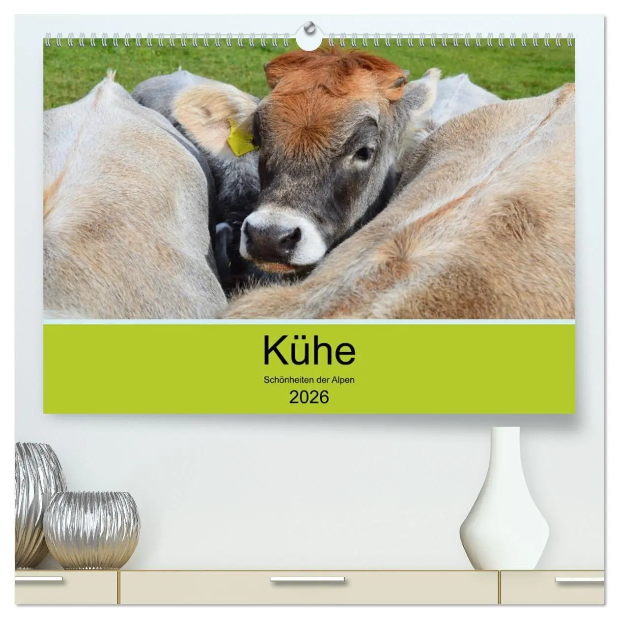 Cover: 9783516629118 | Kühe - Schönheiten der Alpen (hochwertiger Premium Wandkalender...
