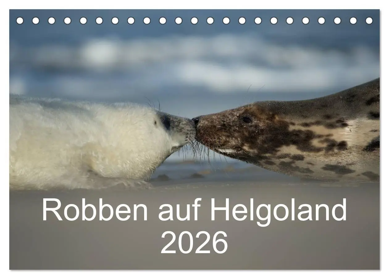 Cover: 9783516239218 | Robben auf Helgoland 2026 (Tischkalender 2026 DIN A5 quer),...