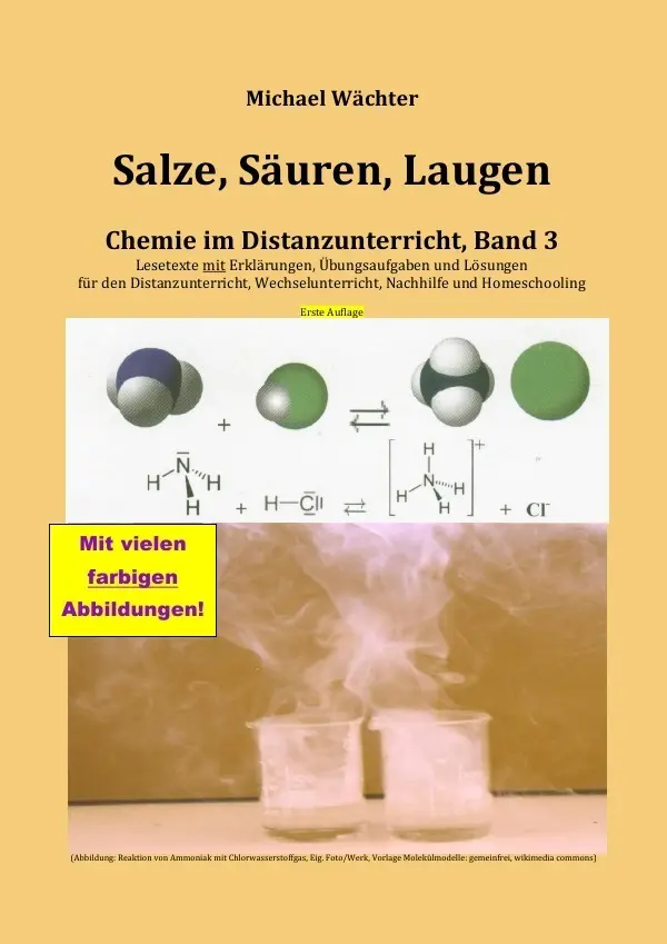 Cover: 9783753159218 | Salze Säuren Laugen | Chemie im Distanzunterricht, Band 3 | Wächter Cover: 9783753159218 | Salze Säuren Laugen | Chemie im Distanzunterricht, Band 3 | Wächter