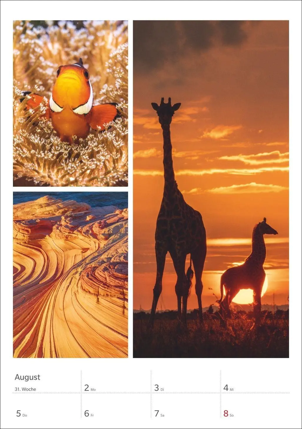 Bild: 9783840039218 | Magie der Farben Wochenplaner 2027 | Harenberg | Kalender | 54 S.