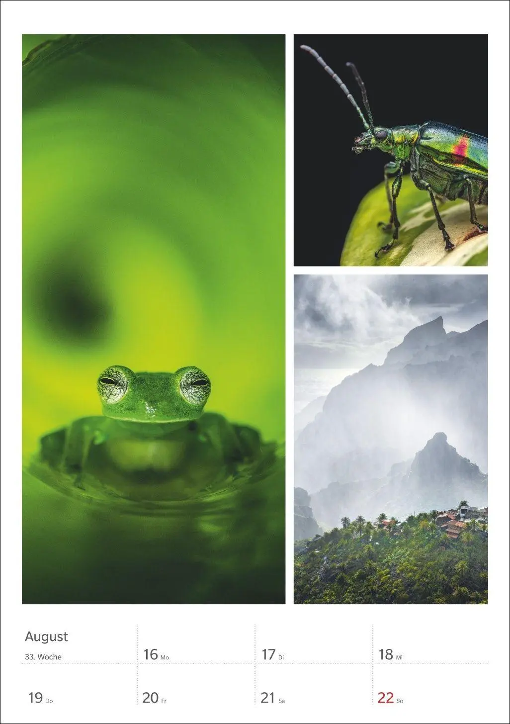 Bild: 9783840039218 | Magie der Farben Wochenplaner 2027 | Harenberg | Kalender | 54 S.