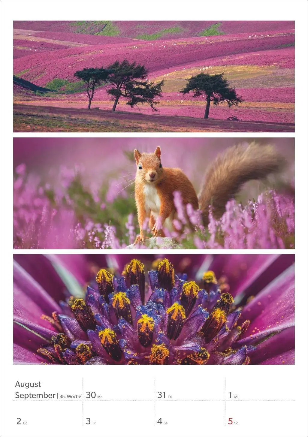 Bild: 9783840039218 | Magie der Farben Wochenplaner 2027 | Harenberg | Kalender | 54 S.