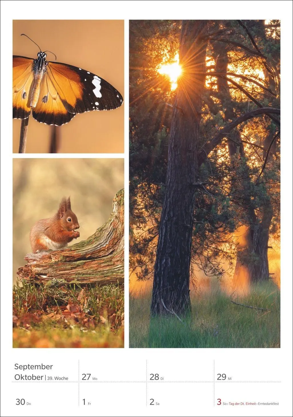 Bild: 9783840039218 | Magie der Farben Wochenplaner 2027 | Harenberg | Kalender | 54 S.