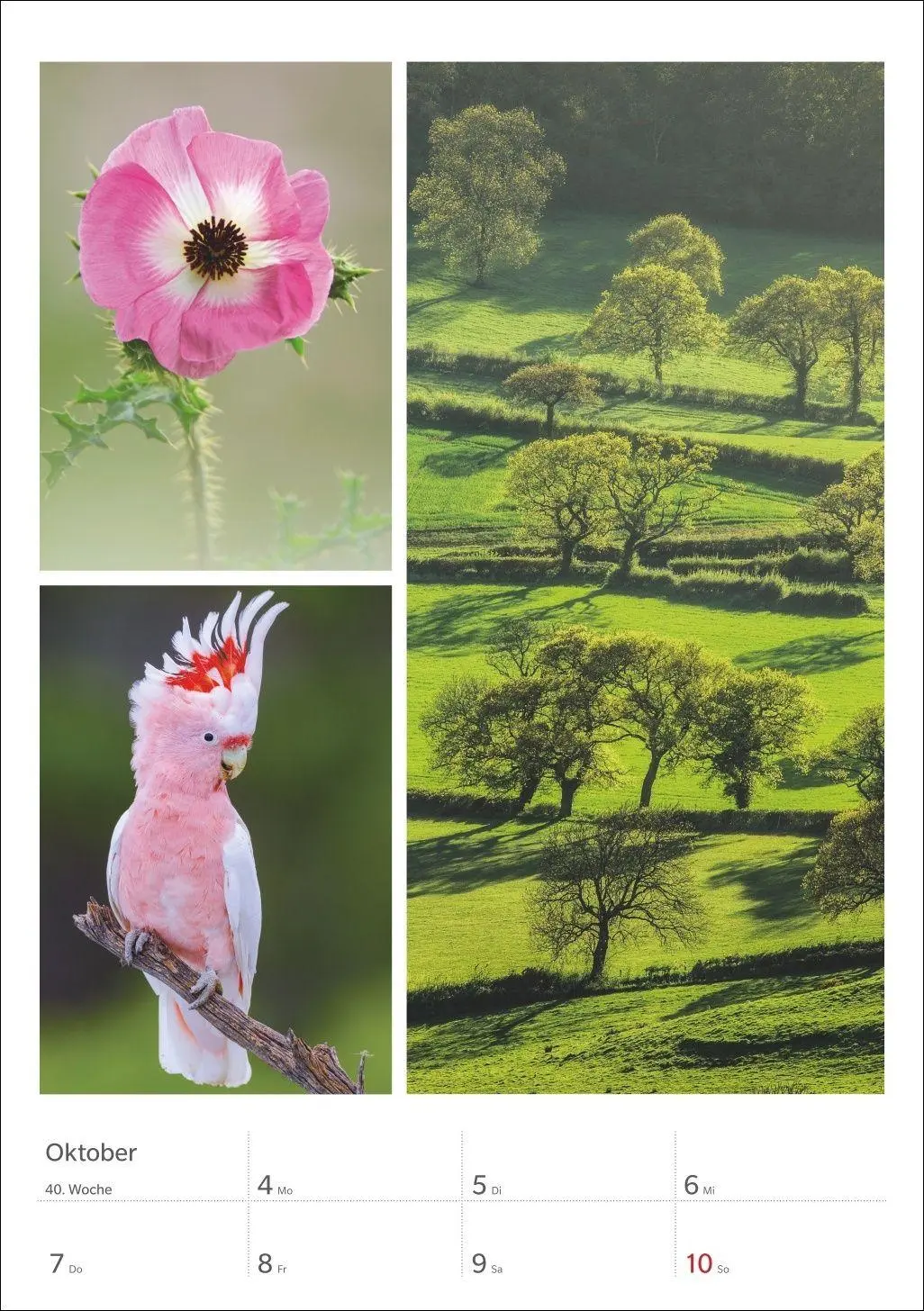 Bild: 9783840039218 | Magie der Farben Wochenplaner 2027 | Harenberg | Kalender | 54 S.