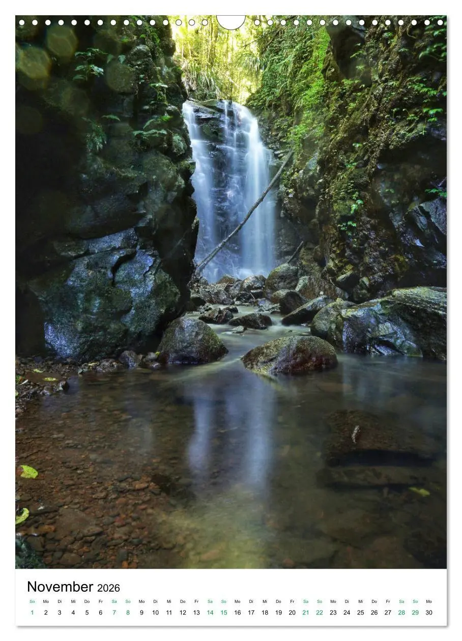 Bild: 9783516399318 | Regenwald - Australien (Wandkalender 2026 DIN A3 hoch), CALVENDO...