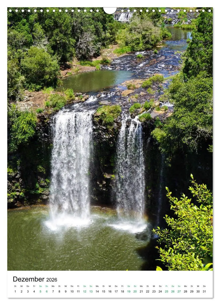 Bild: 9783516399318 | Regenwald - Australien (Wandkalender 2026 DIN A3 hoch), CALVENDO...