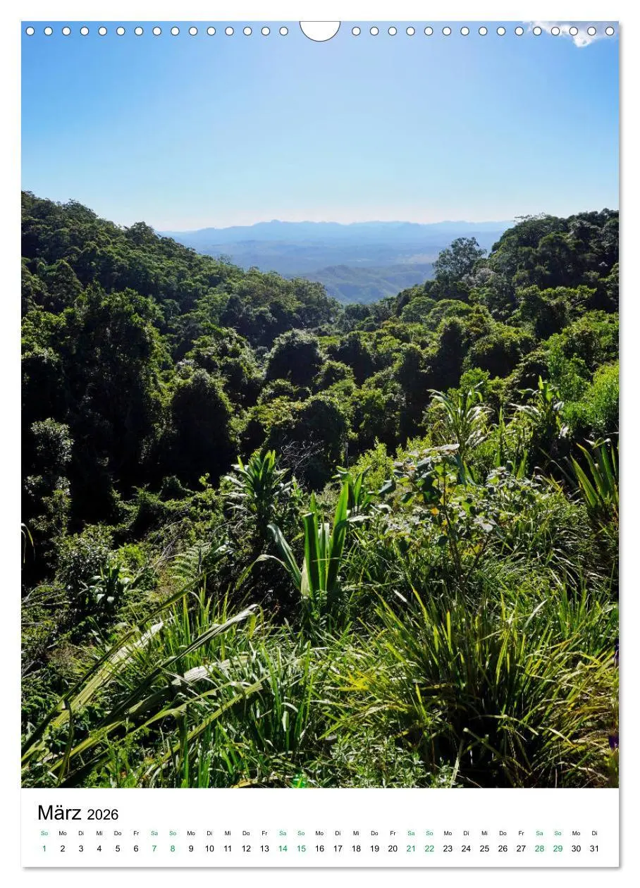 Bild: 9783516399318 | Regenwald - Australien (Wandkalender 2026 DIN A3 hoch), CALVENDO...