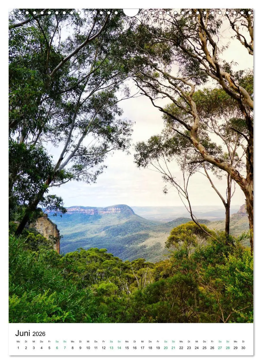 Bild: 9783516399318 | Regenwald - Australien (Wandkalender 2026 DIN A3 hoch), CALVENDO...