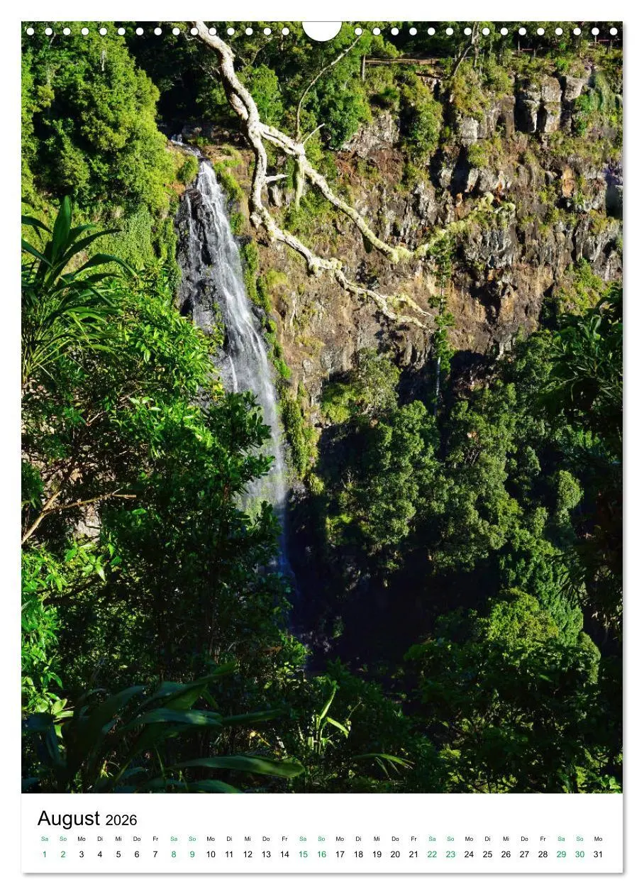 Bild: 9783516399318 | Regenwald - Australien (Wandkalender 2026 DIN A3 hoch), CALVENDO...