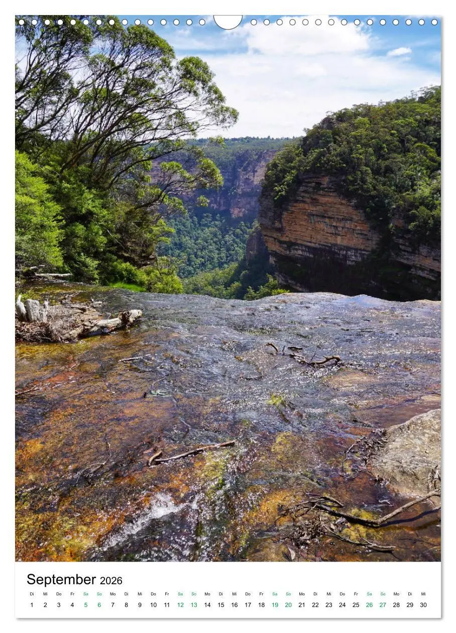 Bild: 9783516399318 | Regenwald - Australien (Wandkalender 2026 DIN A3 hoch), CALVENDO...