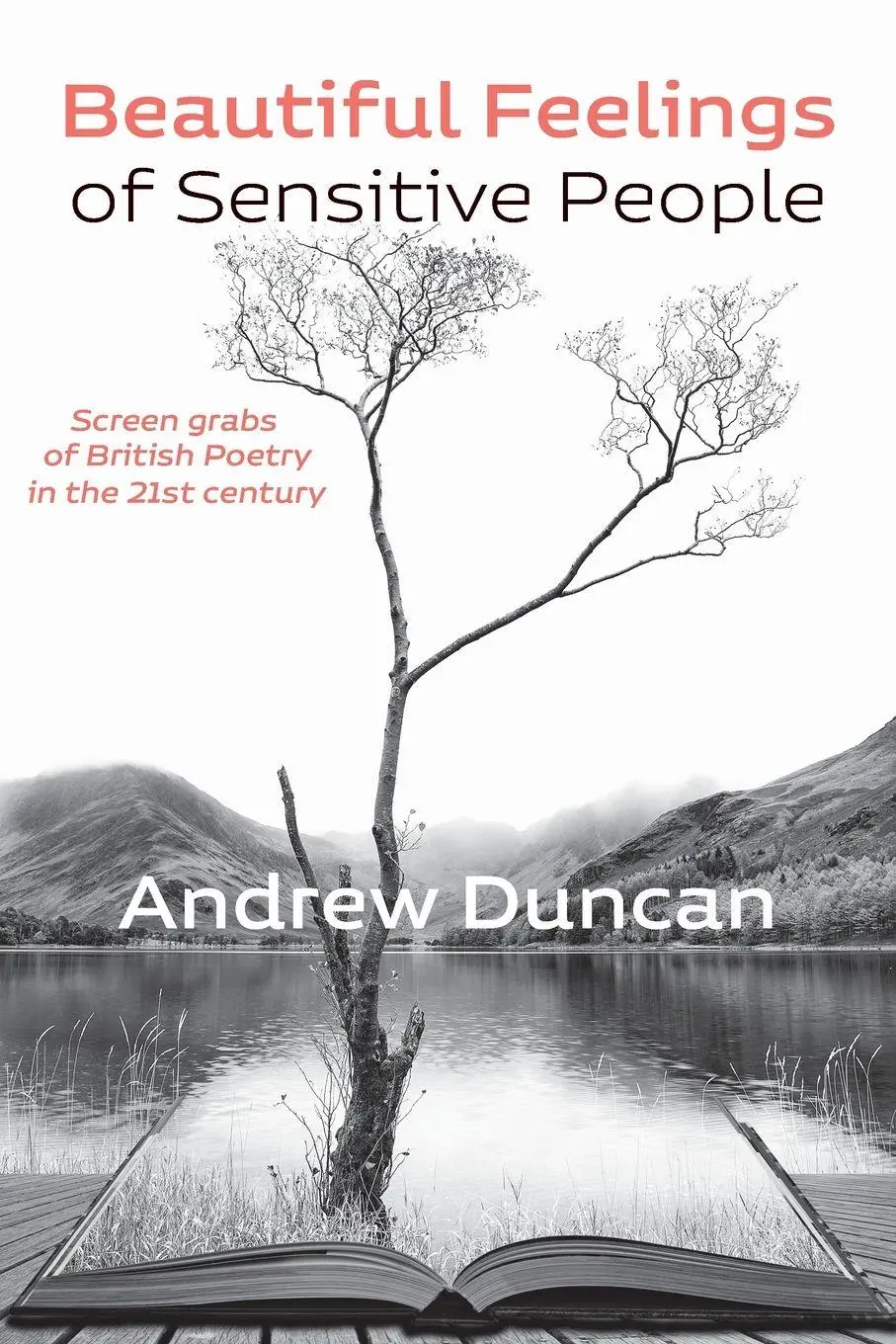 Cover: 9781848619418 | Beautiful Feelings of Sensitive People | Andrew Duncan | Taschenbuch