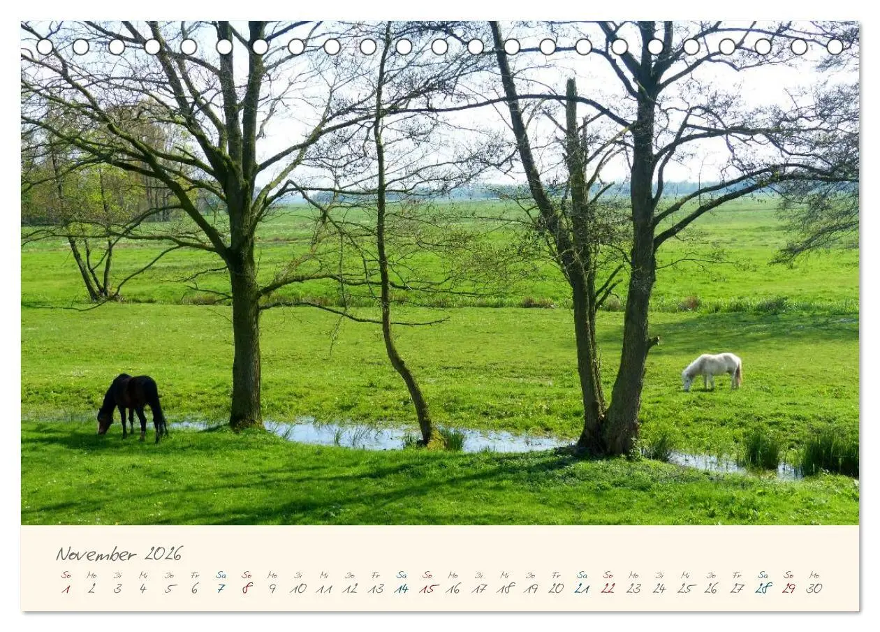 Bild: 9783516079418 | Bremer Blockland - Landleben in der Großstadt (Tischkalender 2026...